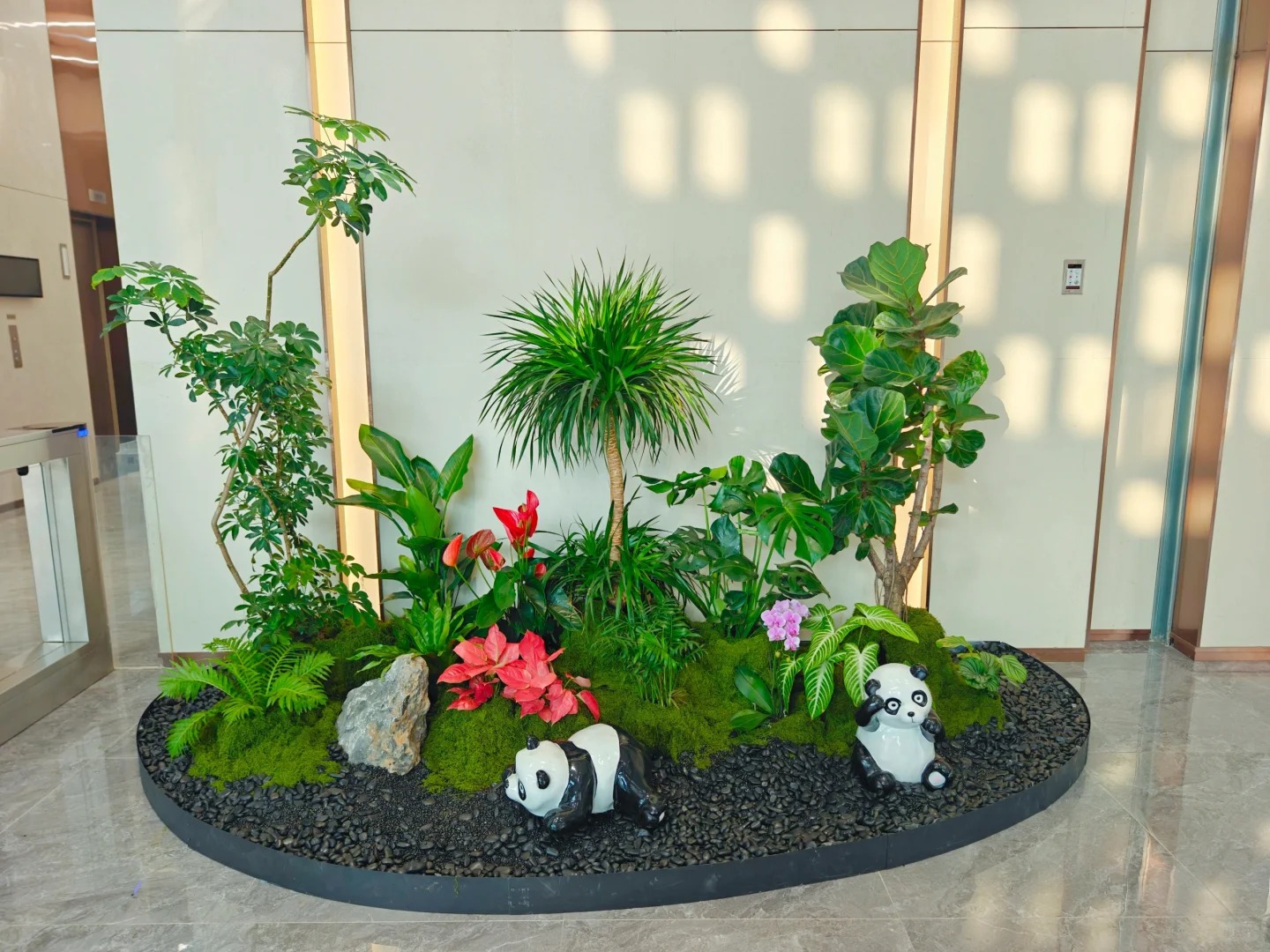 了解前湾植物租摆方案，打造魅力办公区域